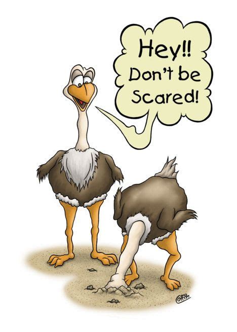 Funny Birthday Scared Ostrich With Head In Sand Dont Be Scared Card