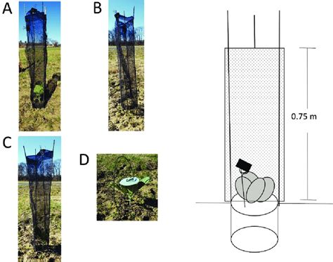 Traps Used In Release Recapture And On Farm Experiments A Plant