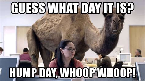 Hump Day Funny Happy Funny Pictures Funny Memes