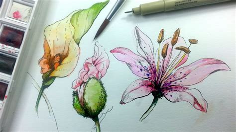 Pen And Ink Flower Drawing At Getdrawings Free Download