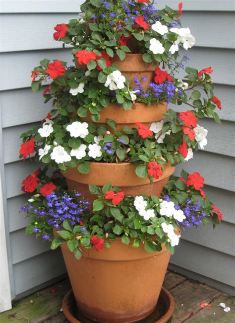 Gardening In The Shade 9 Annual Flowers For Shady Areas Dengarden