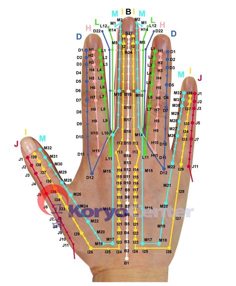 Pin By Autumn Andersen On Reflexology Acupuncture Accupuncture Reflexology