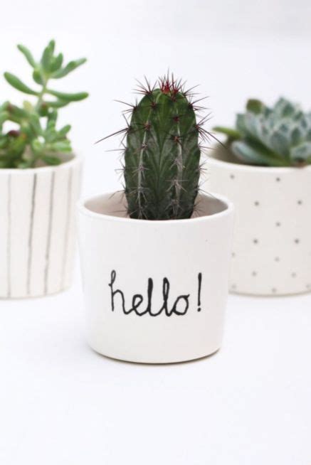 Cute Cactus Decor Ideas For Your Home 80 Small Potted Plants Indoor