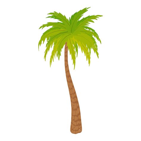 Icono De Palmera Alta Estilo De Dibujos Animados Iconos De Arbol The