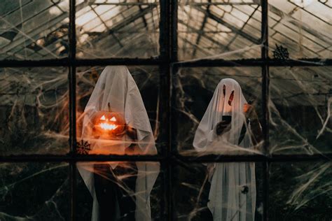 Ghosts In A Greenhouse · Free Stock Photo
