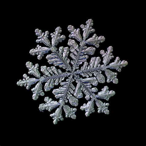 Real Snowflake Hyperion Black Photograph By Alexey Kljatov