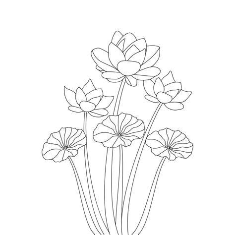 Blossom Water Lily Flower Detail Line Art Drawing Coloring Page For