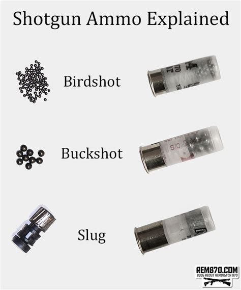 Shotgun Ammunition Explained What Is Buckshot