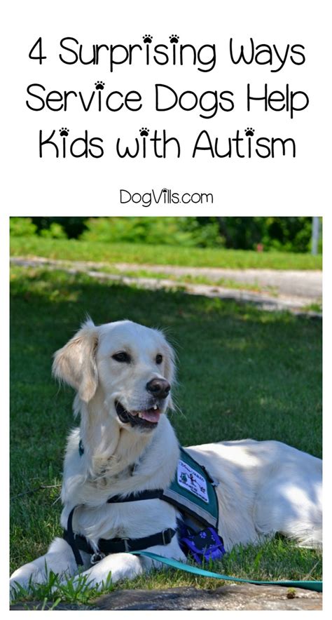 Autistic children often rely on nonverbal. 4 Amazing Ways Service Dogs Can Help Kids with Autism