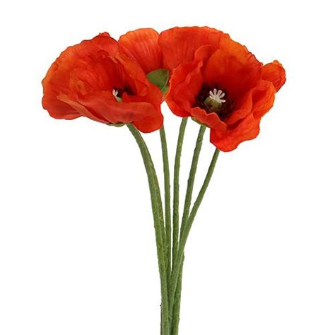 Téléchargez ces vecteur premium sur bouquet de fleur de coquelicot dessin illustration., et découvrez plus de 9m de ressources. Coquelicot Bouquet / Bouquet De Coquelicots En Vase De ...