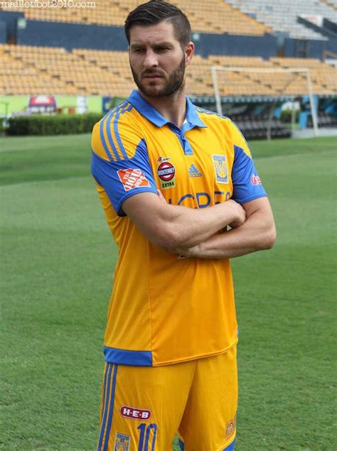 Ojalá que cuando se acaben (los partidos en méxico) gignac venga a los juegos, pero cuando yo voy a monterrey voy a comer con él, voy a su casa y todo. Andre-Pierre Gignac. | Tigres uanl, Club de futbol tigres ...