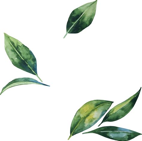 Leafs Png Transparent - Green Banana Leaves Png And Clipart Ilustrasi png image