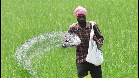 Fertiliser Firms Tagging Other Products With DAP Urea Decry Punjab