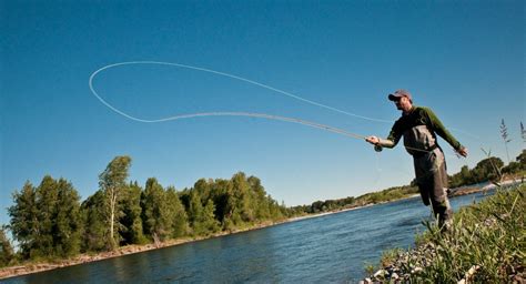 The 5 Essentials Of A Good Fly Cast Revisited Fly Fishing Gink And
