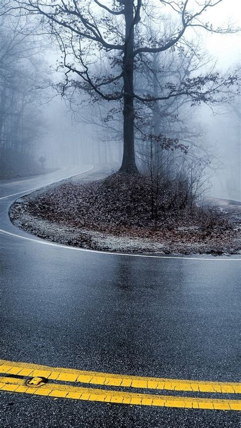 Download 1080x1920 Road Raining Dark Forest Fog