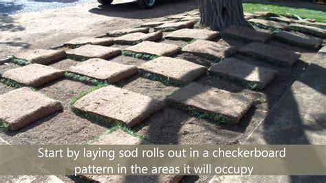 How To Install Sod In 10 Steps Youtube