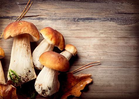 Raw Mushrooms: Hazardous or Harmless? | Nutrition Diva