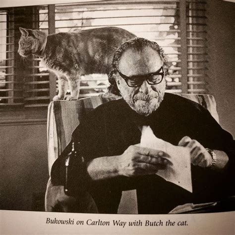 Charles Bukowski On Cats