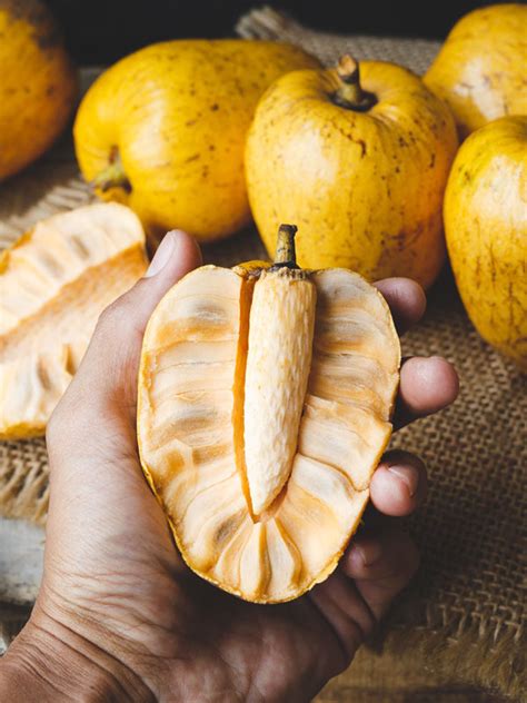 Wild Sweetsop Custard Apple Tree Annona Reticulata Real Tropicals