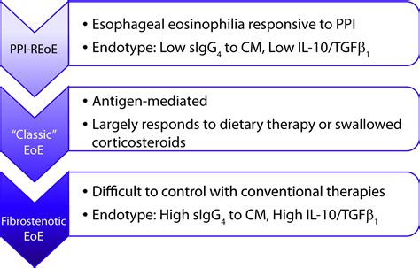 Eosinophilic Esophagitis Time To Classify Into Endotypes Journal Of