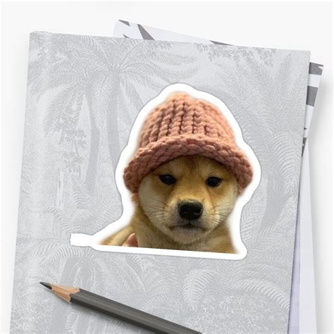 Dog Wif Hat Sticker By Gurlyy Redbubble