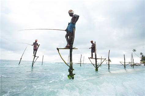 Stilt Fishermen Sri Lanka By Stocksy Contributor Hugh Sitton