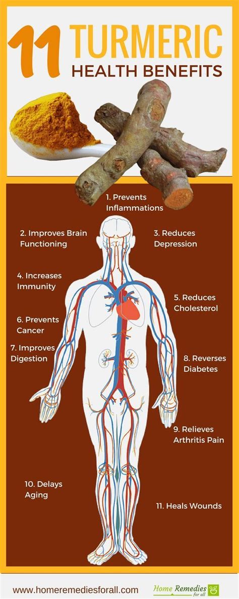 Turmeric Is One Of The Most Powerful Herb With Multiple Health Benefits