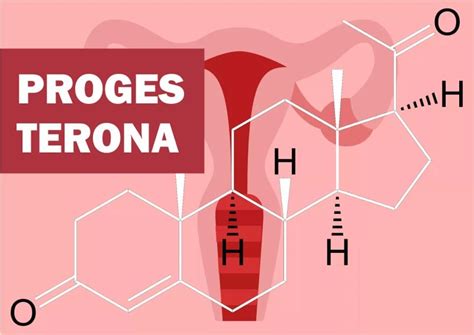 Progesterona O Que é Função Baixa Alta Na Gravidez Engorda