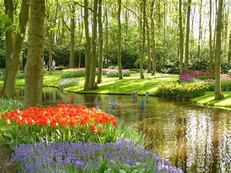 Precioso Paisaje En Un Parque De Holanda Imagen And Foto Plantas