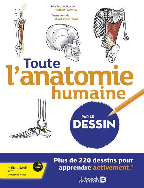 Toute lanatomie humaine par le dessin De Boeck Supérieur