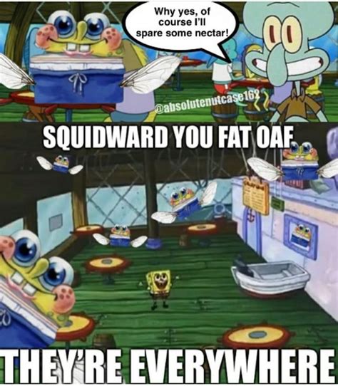 Why Yes Spare Some Squidward You Fat Oaf Theyre Everywhere Ifunny