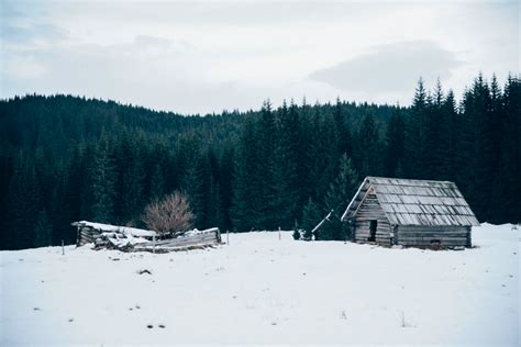 Wooden Cabin On Snow Covered Field Photo Free Shack Image On Unsplash