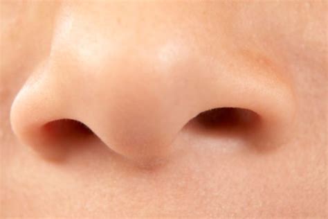 Male And Female Nose Size Related To Oxygen Demand Guardian Liberty Voice