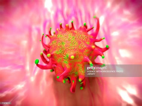 Lymphoma Cancer Cell High Res Vector Graphic Getty Images