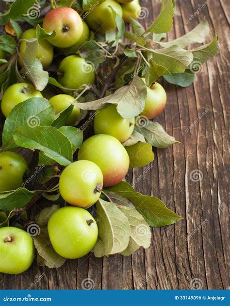 Organic Apples With Leaves Stock Photo Image Of Gardening 33149096