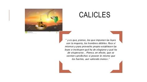 Calicles