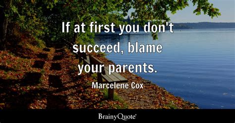 marcelene cox if at first you don t succeed blame your
