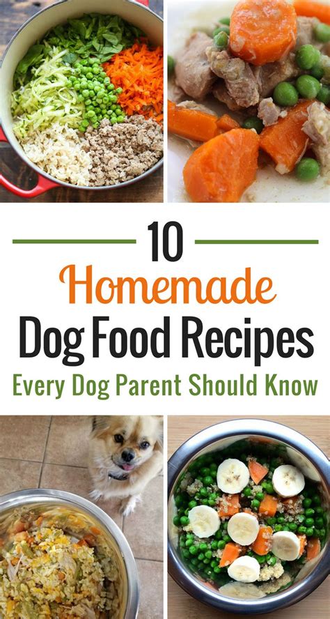 10 Homemade Dog Food Recipes Every Dog Parent Should Know Dog Food