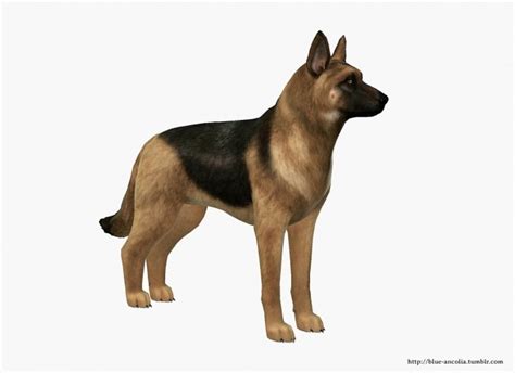 German Shepherd Makeover At Blue Ancolia Sims 4 Updates