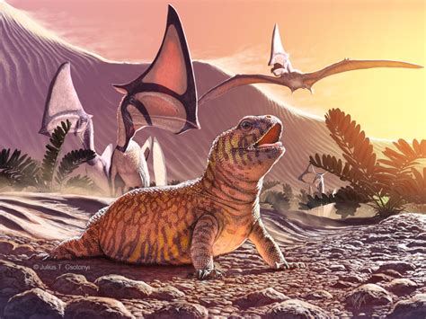 Fossil Remains Of An Old World Lizard Discovered In The New World