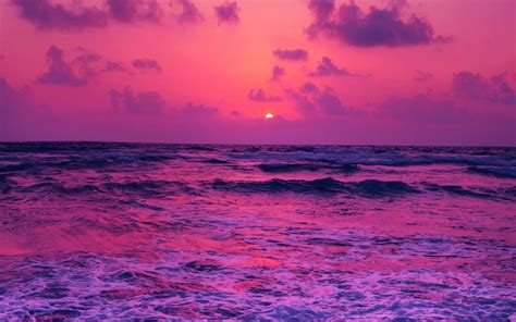 2560x1600 Resolution Horizon Pink Sunset Near Sea 2560x1600 Resolution