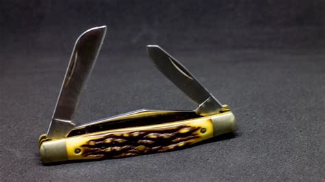 Top 5 Best Case Knives To Collect In 2022 Gấu Đây