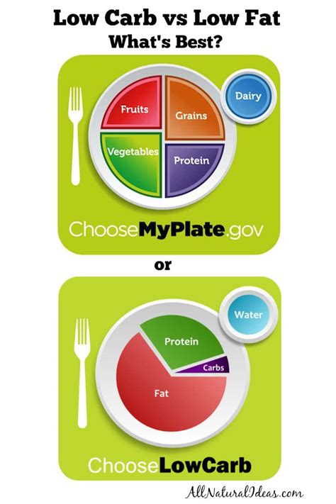 Low Carb Vs Low Fat Diets Whats Better All Natural Ideas