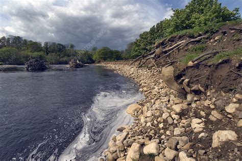 Eroded Riverbank Stock Image E5400350 Science Photo Library