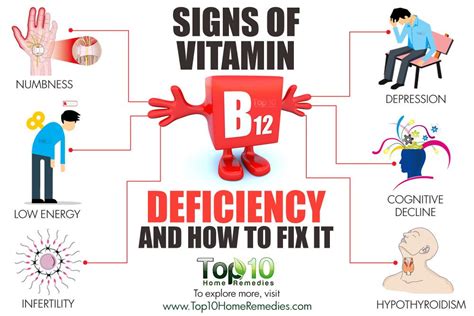 Vitamin B12 Deficiency Symptoms Causes And Diet B12 Deficiency
