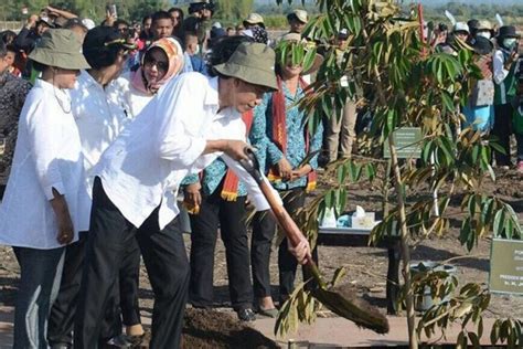 Kegiatan Jokowi Hari Ini Bakal Masuk Guinness Book Of Record Kok Bisa