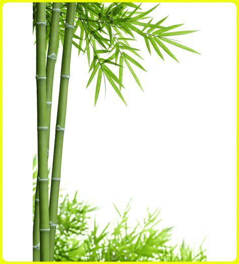  +101 Gambar Sketsa Panda Lucu Paling Mudah Digambar ...