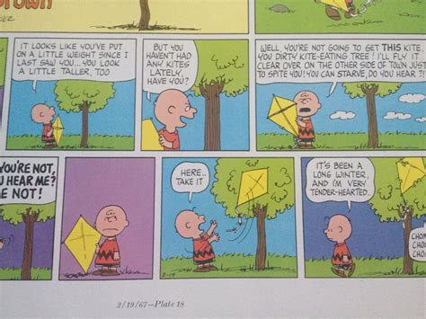 Charlie Brown Flies A Kite Peanuts Gang Famous Comic Strip Etsy