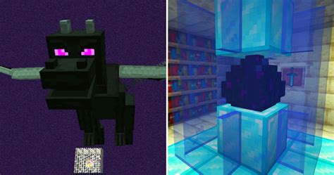 Minecraft 10 Things You Didnt Know About The Ender Dragon And Her Egg