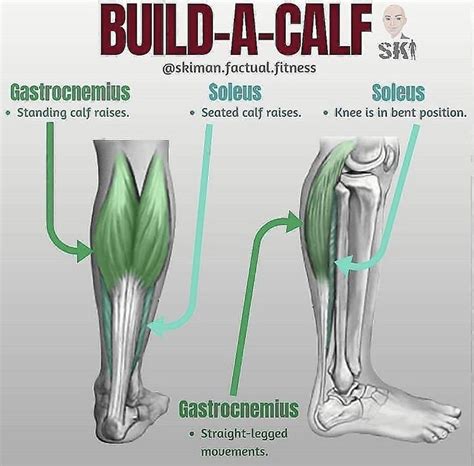 Pin By A On Fitness Best Calf Exercises Calf Exercises Calves